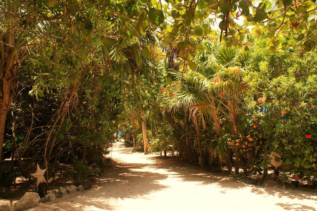 Cabanas La Luna Hotell Tulum Eksteriør bilde