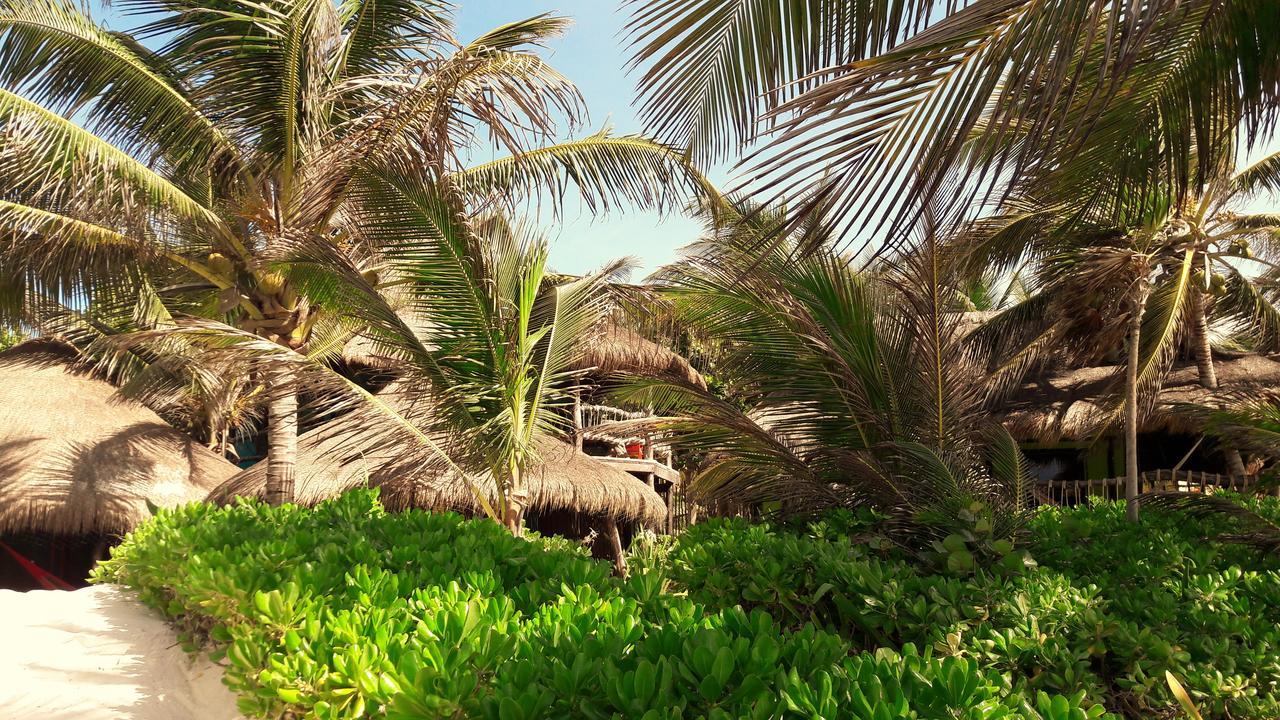 Cabanas La Luna Hotell Tulum Eksteriør bilde