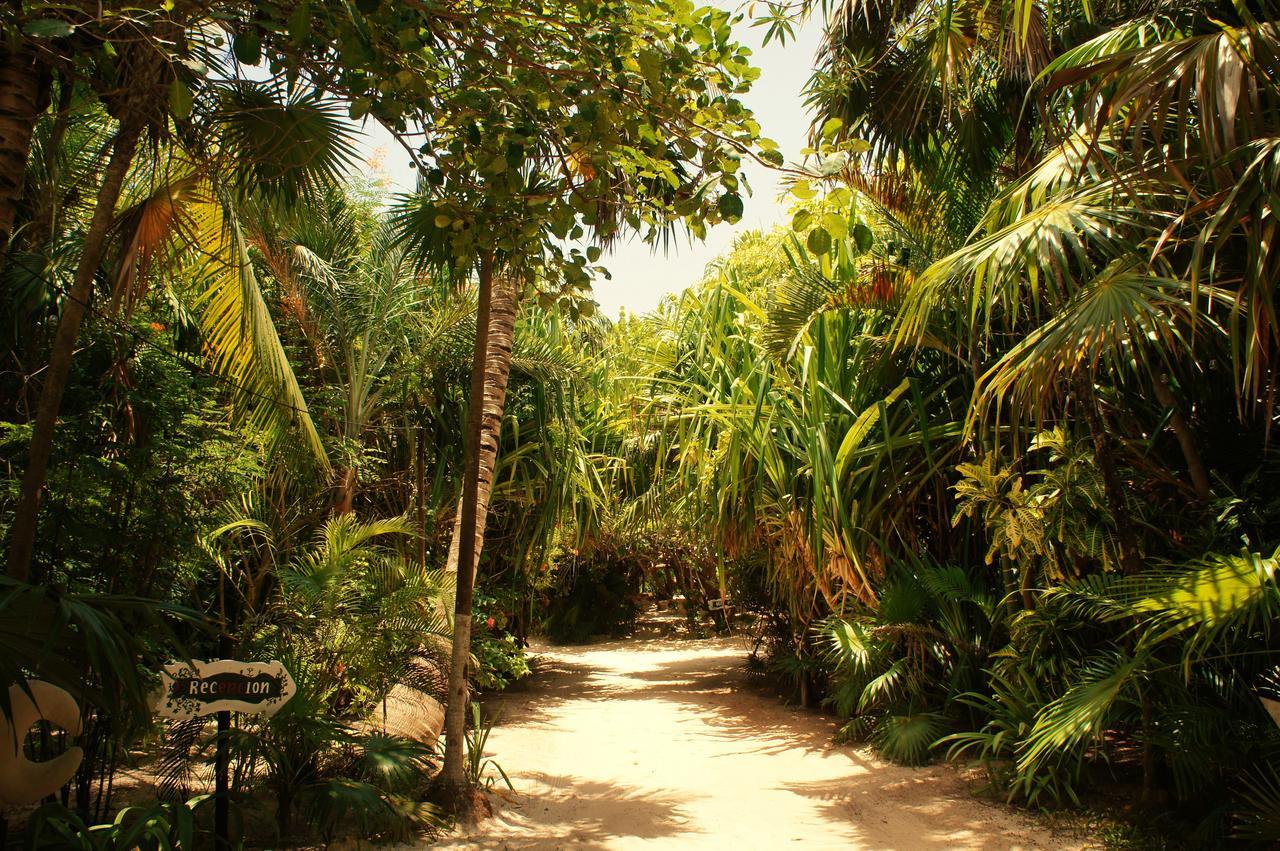 Cabanas La Luna Hotell Tulum Eksteriør bilde