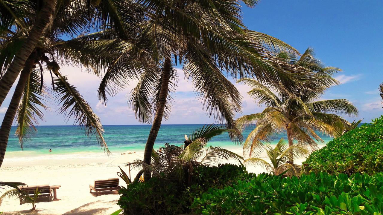 Cabanas La Luna Hotell Tulum Eksteriør bilde