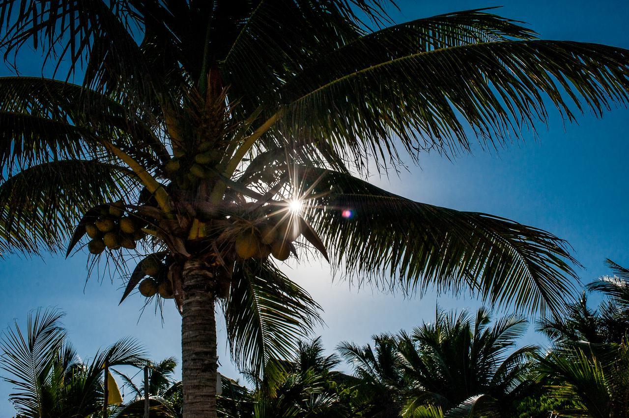 Cabanas La Luna Hotell Tulum Eksteriør bilde